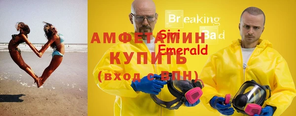 гашик Козловка
