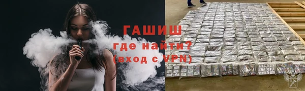 гашик Козловка