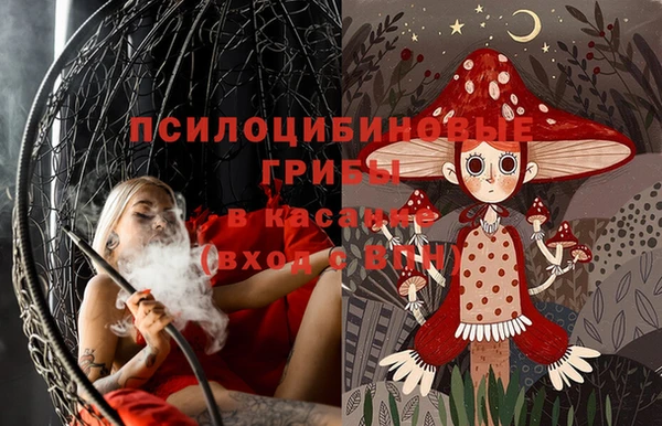 гашик Козловка