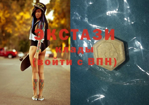 гашик Козловка