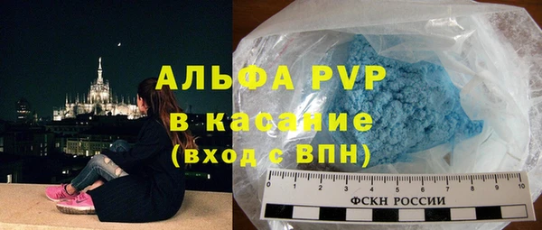 гашик Козловка