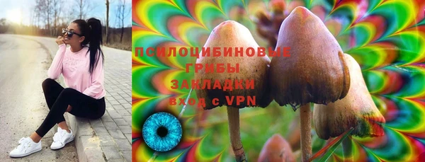 гашик Козловка