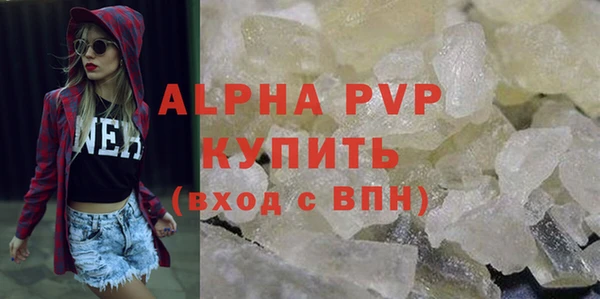 гашик Козловка