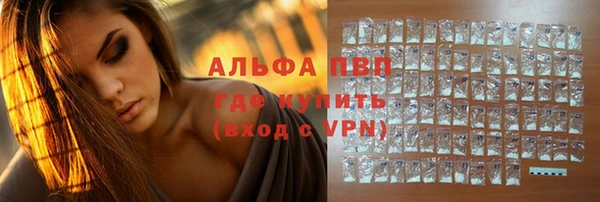 гашик Козловка